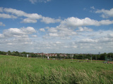 IMG_1961