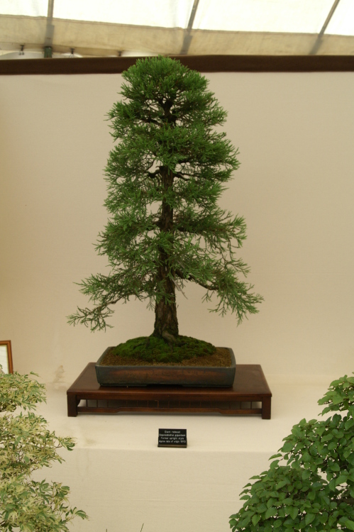 PICT0744