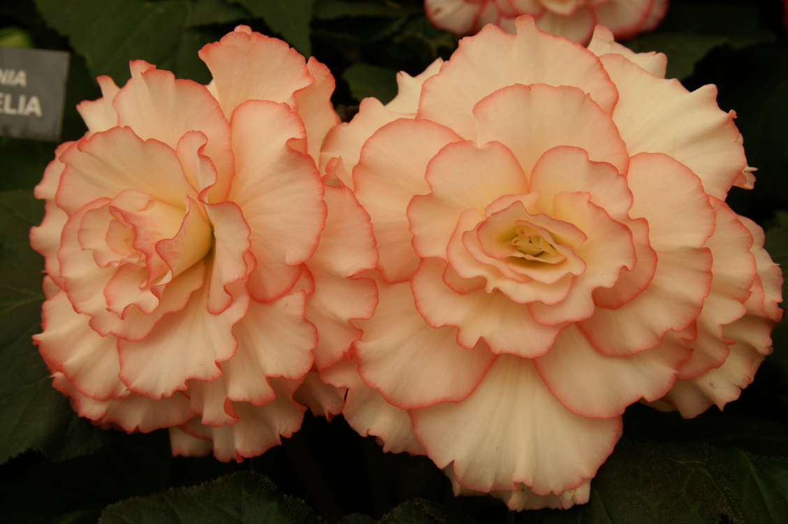 PICT0753