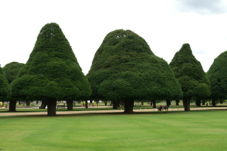 PICT0662