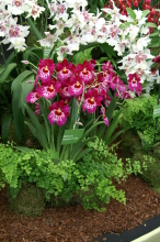 PICT0699