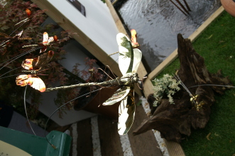 PICT0716