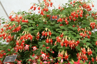 PICT0729