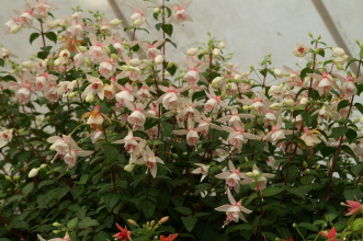 PICT0730