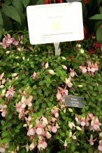 PICT0732
