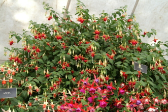 PICT0734