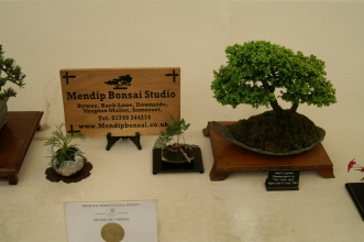 PICT0741