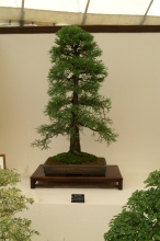 PICT0744