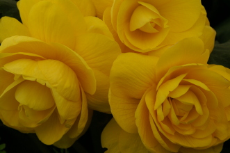 PICT0749