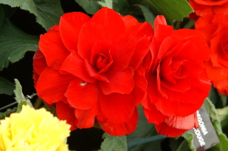 PICT0751
