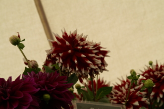 PICT0757