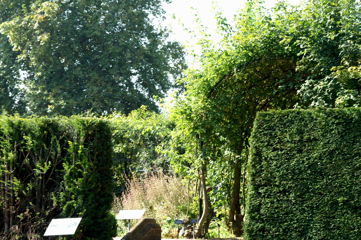 pict0039