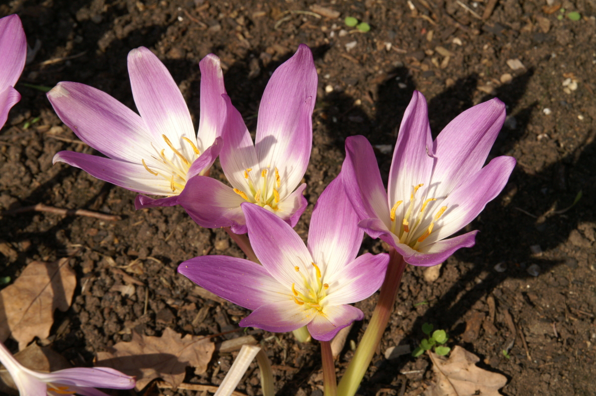 pict0097