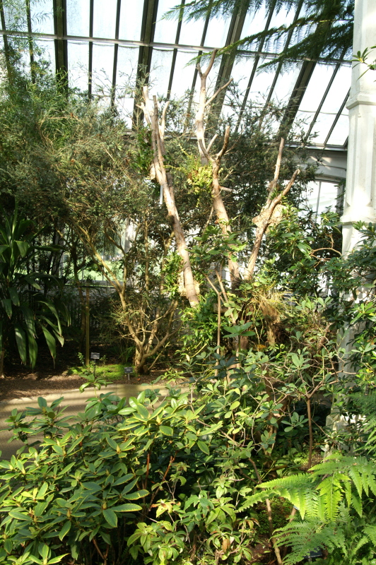 pict0149
