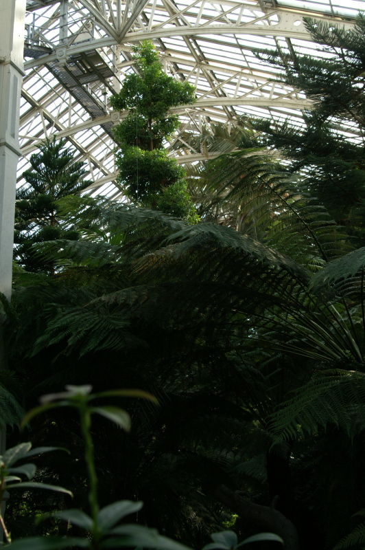 pict0150