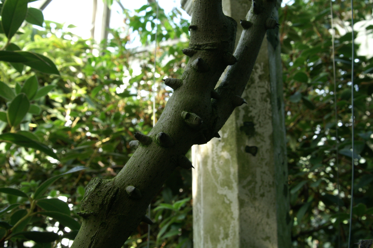 pict0172