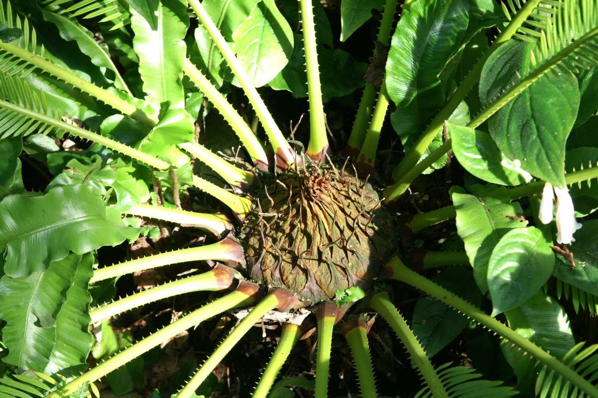 pict0177