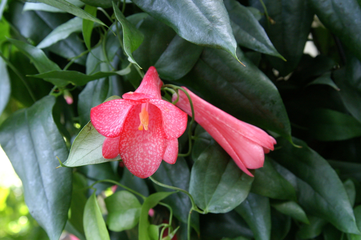 pict0222