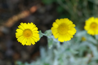 pict0018