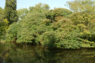 pict0032