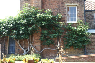 pict0040