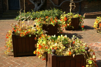 pict0041