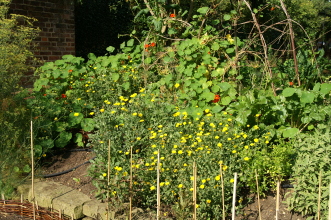 pict0044