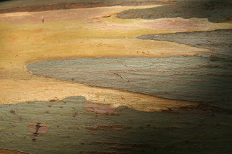 pict0059