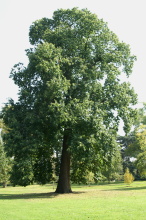 pict0065