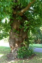 pict0067