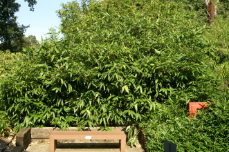 pict0072