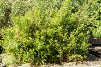 pict0074