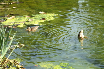 pict0078