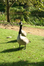 pict0080