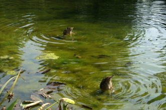 pict0089