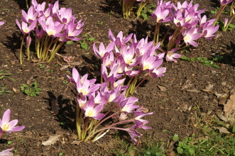 pict0093