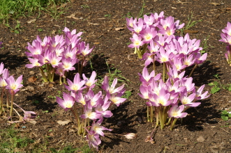pict0094