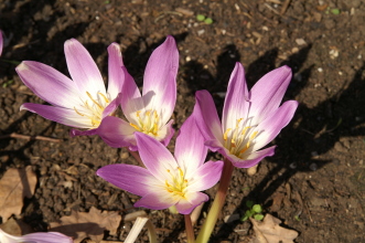 pict0096