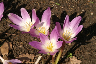 pict0097