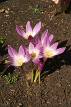 pict0099