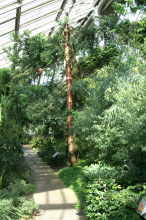 pict0145