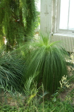 pict0146