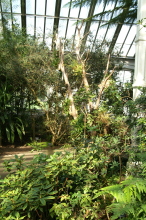 pict0149
