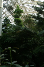 pict0150