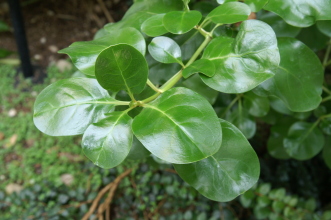 pict0155