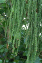 pict0156