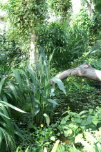 pict0162