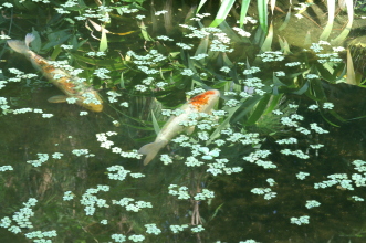 pict0168