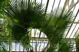pict0170