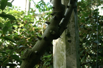 pict0172